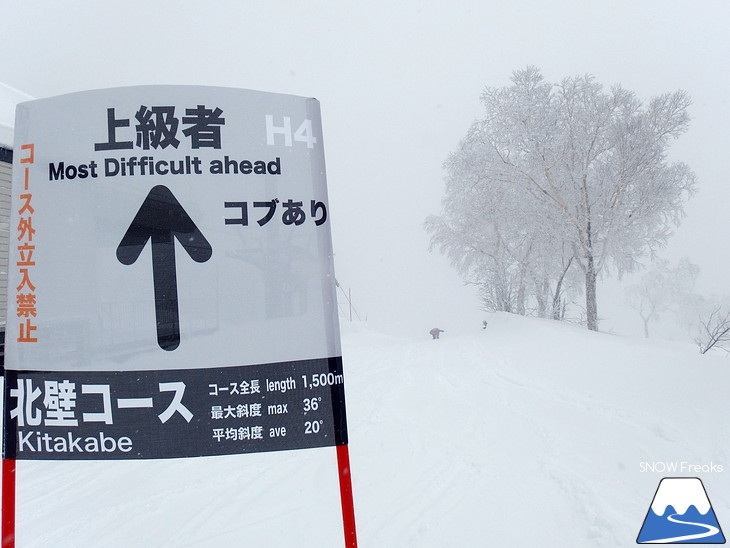 サッポロテイネ　個性豊かなゲレンデへGO！